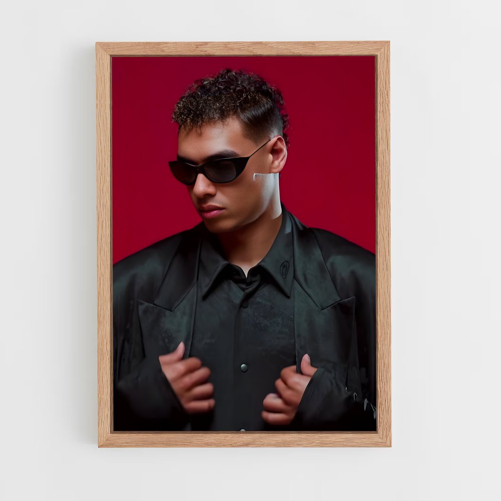 Poster Pablo veron – affiche Danse (vue 4)